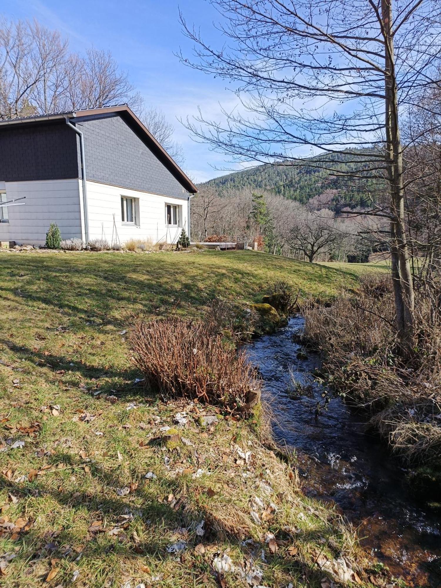 Le Gite De Bri Orbey Esterno foto