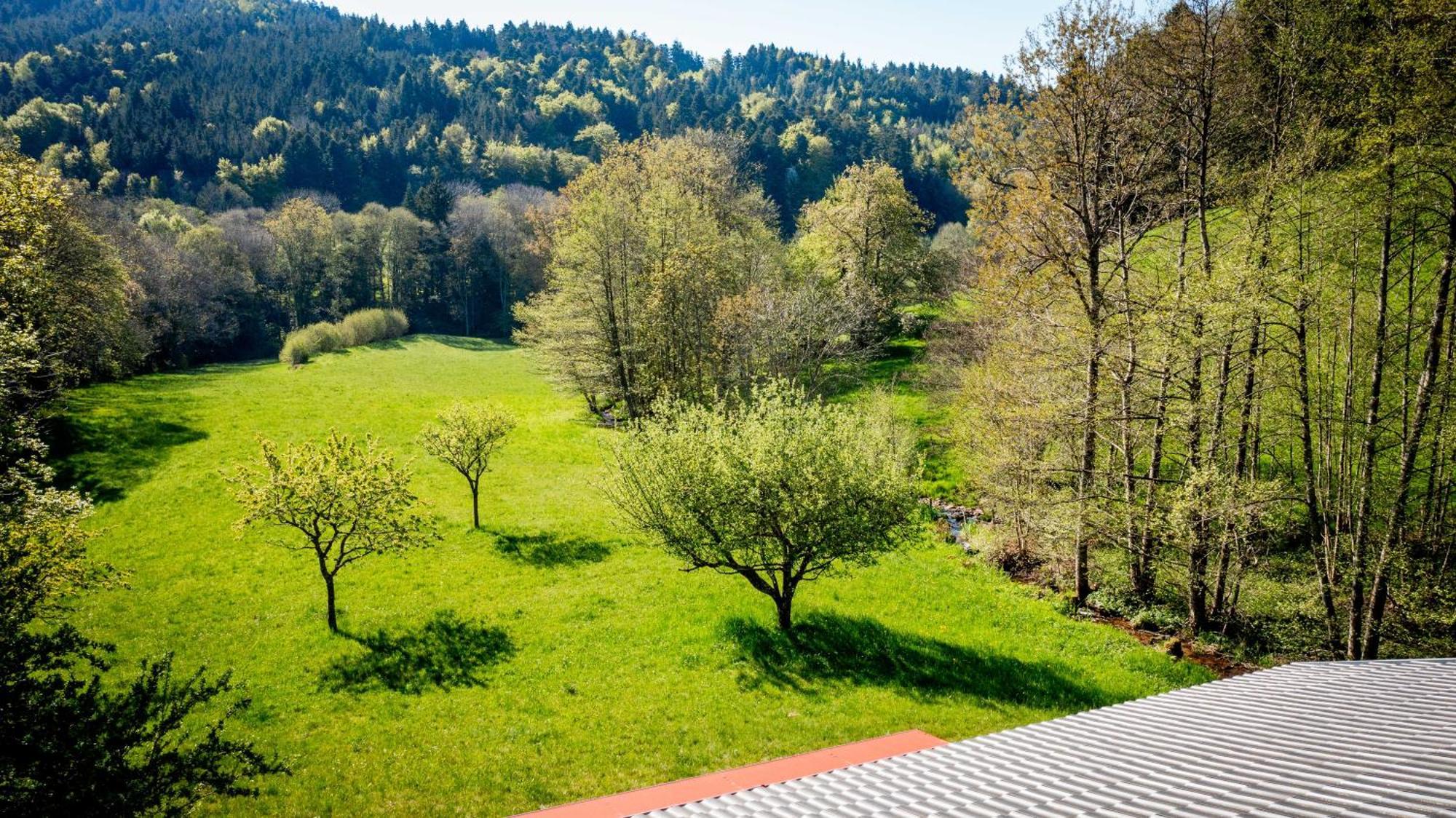 Le Gite De Bri Orbey Esterno foto