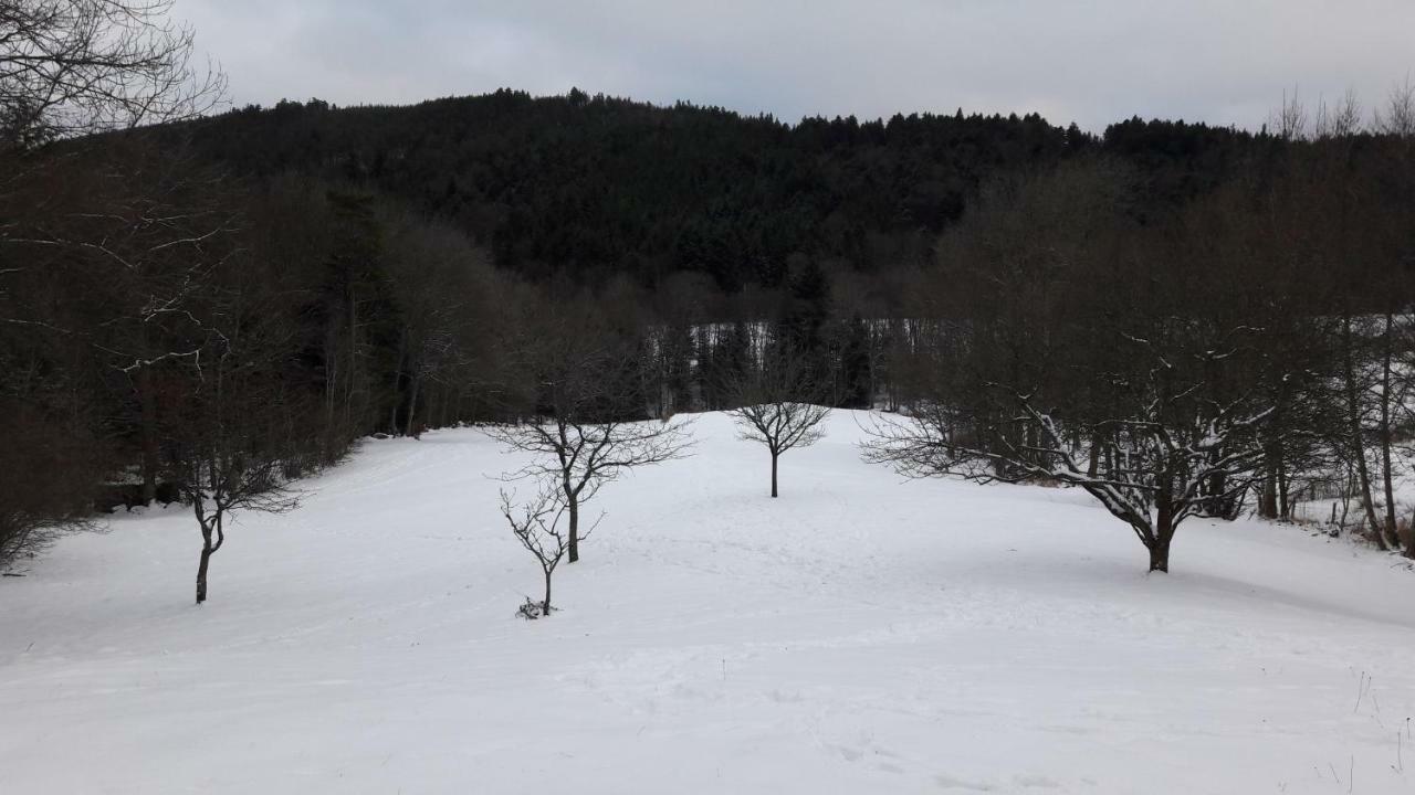 Le Gite De Bri Orbey Esterno foto